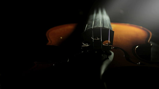 цигулка, музикален инструмент, HD тапет HD wallpaper