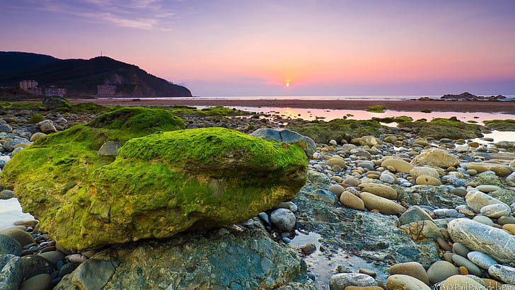 海、ビーチ、岩、石、苔、朝、夜明け、日の出、海、ビーチ、岩、石、苔、朝、夜明け、日の出、 HDデスクトップの壁紙