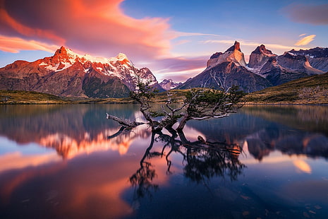fotografia natura paesaggio mattina luce del sole calma montagne picco nevoso lago riflessione alberi torres del paine Cile, Sfondo HD HD wallpaper