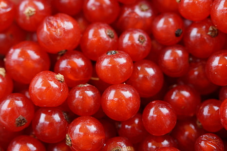 Rote Johannisbeeren, Johannisbeeren, Beeren, rote Johannisbeeren, HD-Hintergrundbild HD wallpaper
