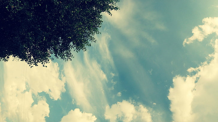 białe i niebieskie malarstwo abstrakcyjne, niebo, drzewa, chmury, Tapety HD
