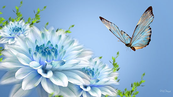 white and teal butterfly and flower illustration, butterfly, flower, flying, close-up, HD wallpaper HD wallpaper