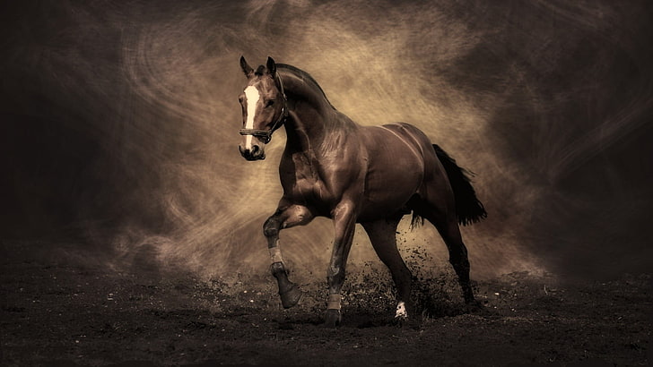 papel pintado digital caballo marrón, caballo, naturaleza, marrón, Fondo de pantalla HD