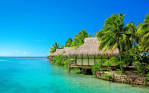 Morze, błękitne niebo, kurort, bungalow, palmy, plaża, brązowo-biała chata nad brzegiem morza, morze, błękit, niebo, ośrodek, bungalow, palmy, drzewa, plaża, Tapety HD HD wallpaper