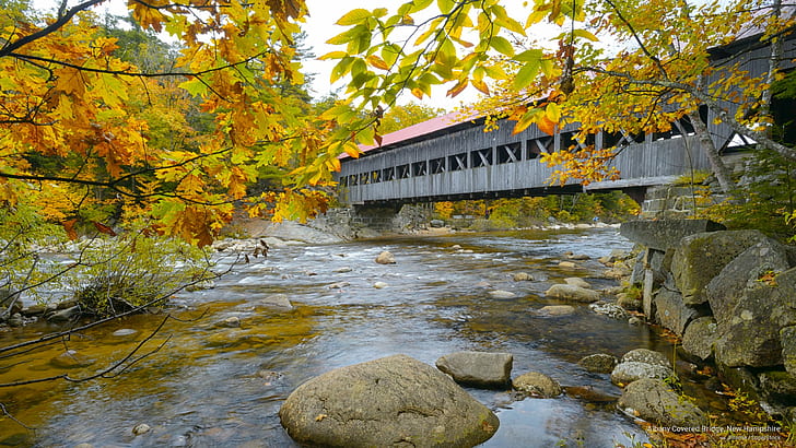 Kryty most Albany, New Hampshire, jesień, Tapety HD