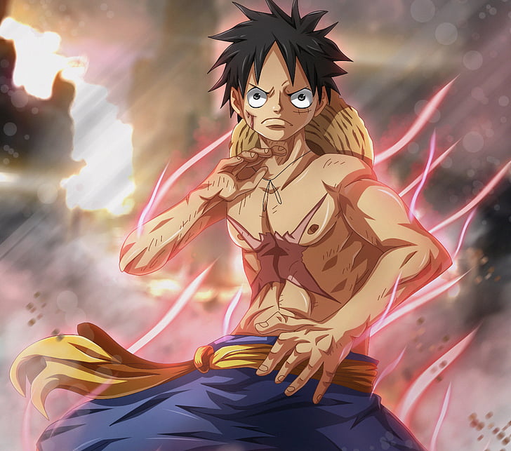 Anime, One Piece, colère, yeux noirs, cheveux noirs, garçon, singe, D. Luffy, cicatrice, Fond d'écran HD