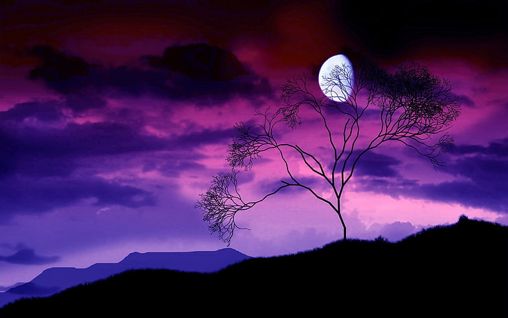 silhouette of tree, moon, night, sky, lilac, tree, bush, branches, outlines, HD wallpaper