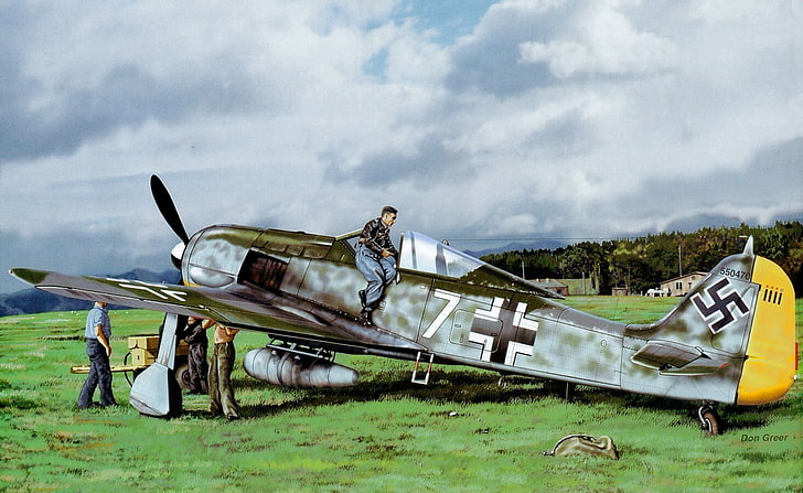 war, art, painting, aviation, Don Greer, ww2, fw 190, german fighter, HD wallpaper