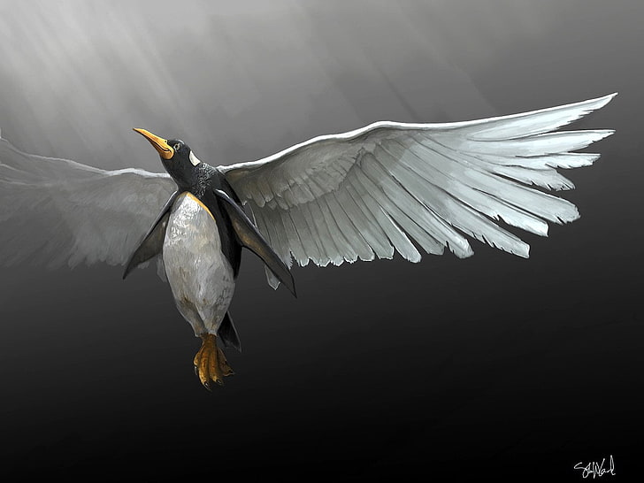 pingouin avec ailes peignant, Animal, Artistique, pingouin, ailes, Fond d'écran HD