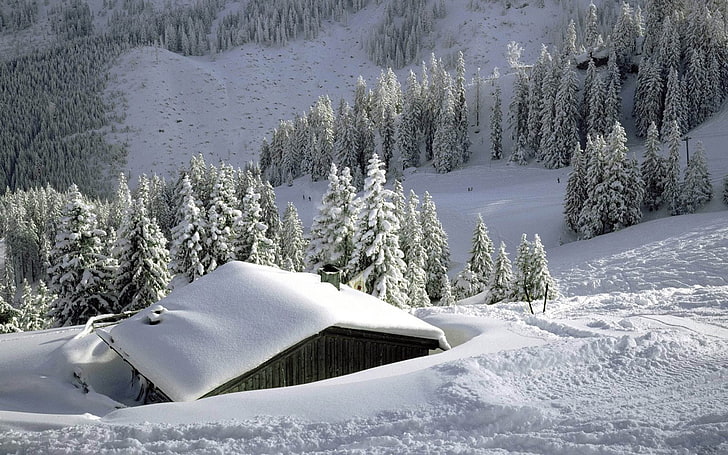 braunes Holzhaus, Haus, Schnee, Schneeverwehungen, Dach, Straße, Spuren, Bäume, Berge, HD-Hintergrundbild