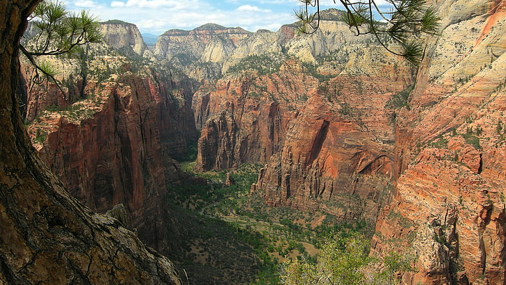 vildmark, zion nationalpark, nationalpark, sten, kanjon, zion kanjon, utah, bildning, klippa, berg, USA, geologi, HD tapet