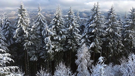 textil floral blanco y negro, árboles, invierno, nieve, paisaje, naturaleza, nubes, Fondo de pantalla HD HD wallpaper