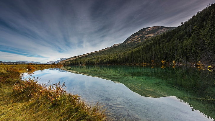 водоем возле сосен и горы, природа, фотография, пейзаж, озеро, спокойные воды, отражение, горы, лес, осень, сухая трава, Альберта, Канада, HD обои