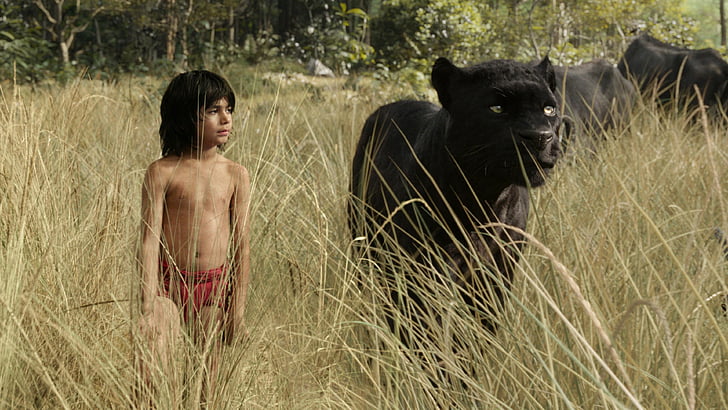 chłopiec stojący obok czarnej pantery Scena z filmu Księga Dżungli, Księga Dżungli, Mowgli, Bagheera, przygoda, fantasy, Najlepszy film 2016, Tapety HD