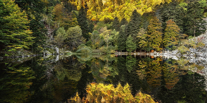 pemandangan, hutan, pohon, danau, air, refleksi, alam, Wallpaper HD