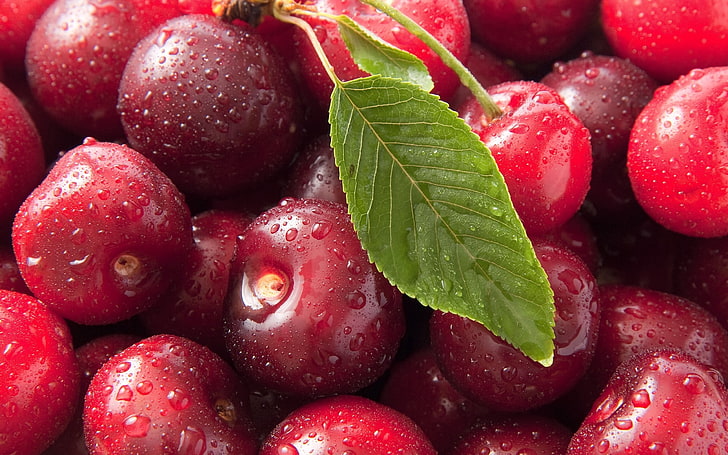bunch of cherries, cherry, drops, leaves, food, berry, HD wallpaper