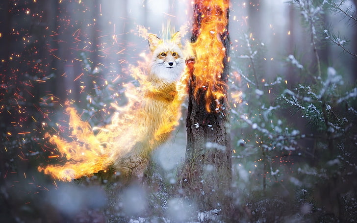 Fire fox, fire, fantasy, 0l fox l0, vulpe, tree, orange, fox, luminos, HD wallpaper