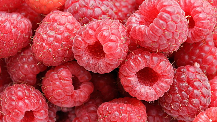 red cranberries, food, raspberries, HD wallpaper