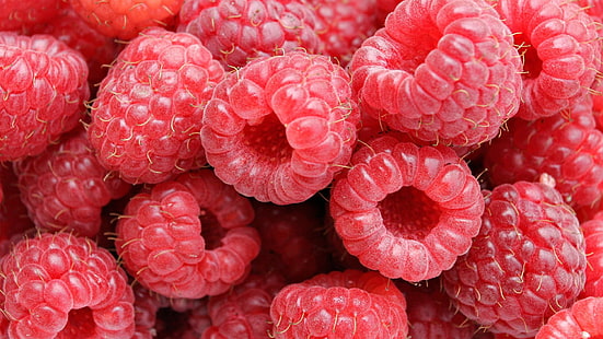 red cranberries, food, raspberries, HD wallpaper HD wallpaper