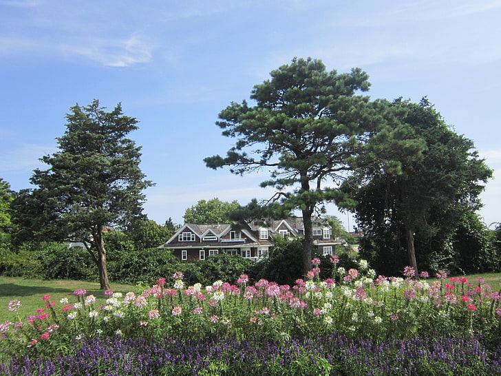 บ้านสีน้ำตาลและสีขาวธรรมชาติดอกไม้บ้านสวนต้นไม้, วอลล์เปเปอร์ HD