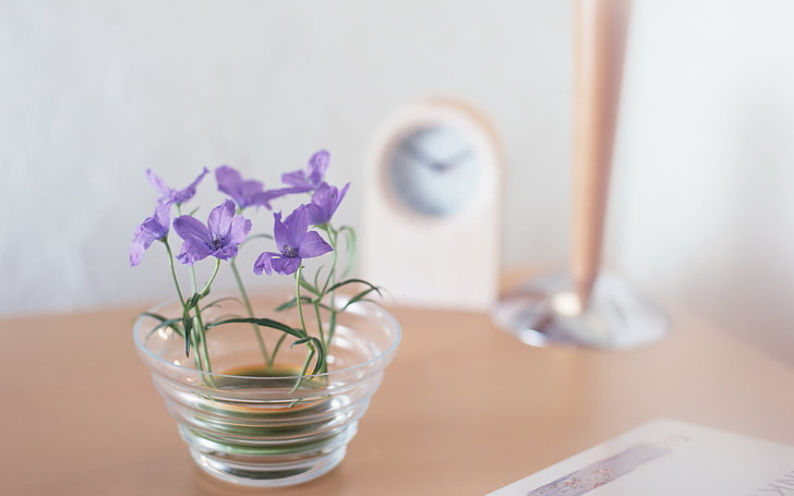 lila Blüten, Makro, Blumen, Uhr, Wecker, lila, Farben, auf dem Tisch, sanft, violett, HD-Hintergrundbild