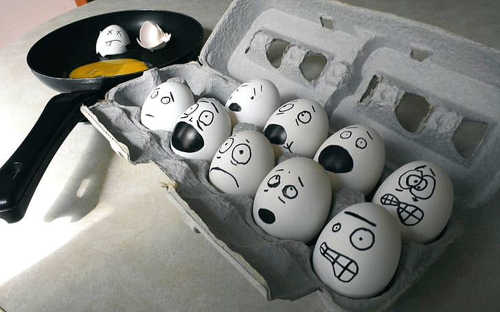 eggs, humor, HD wallpaper