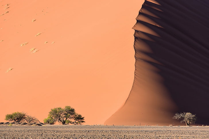 사막, 모래, 모래 언덕, HD 배경 화면