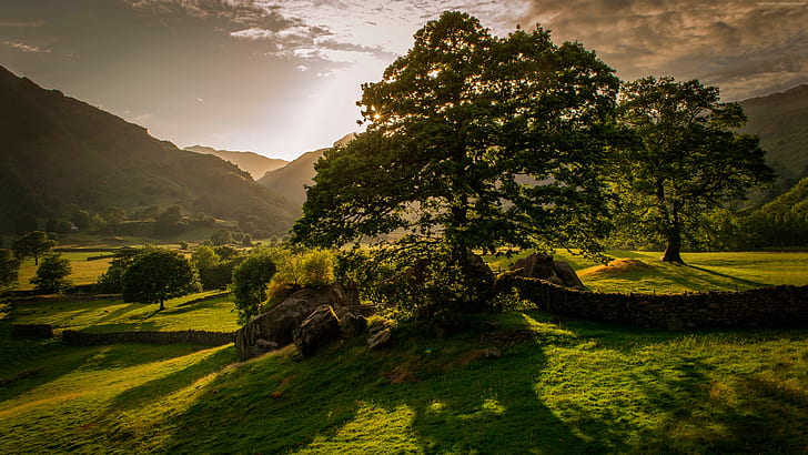 4K, 나무, 일몰, 언덕, 아일랜드, 5K, 초원, HD 배경 화면