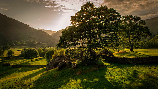4k, ต้นไม้, พระอาทิตย์ตก, เนินเขา, ไอร์แลนด์, 5k, ทุ่งหญ้า, วอลล์เปเปอร์ HD HD wallpaper