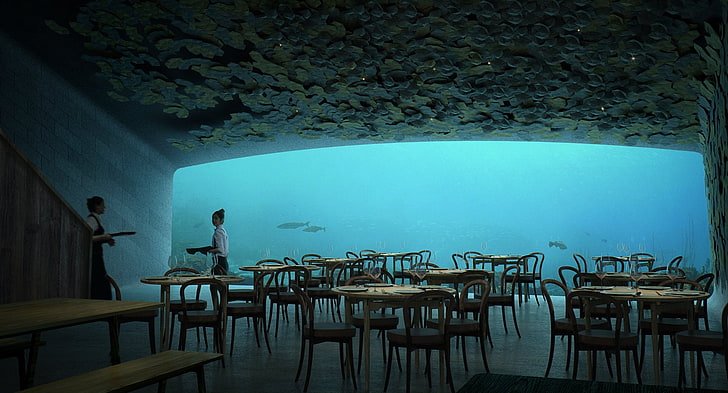 تحت الماء ، مطعم ، كرسي ، طاولة ، بحر ، سمك ، زجاج ، النرويج ، نادلة ، نساء ، شفافية ، أطباق، خلفية HD