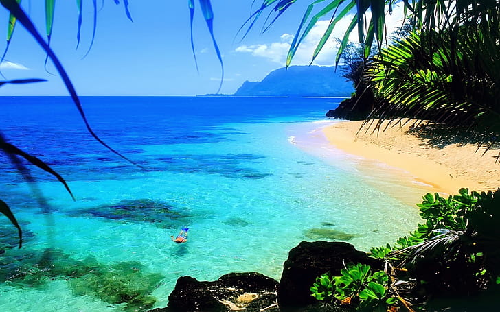 المحيط هاواي بيتش جميلة خلفيات عالية الدقة لأجهزة الكمبيوتر المحمول، خلفية HD