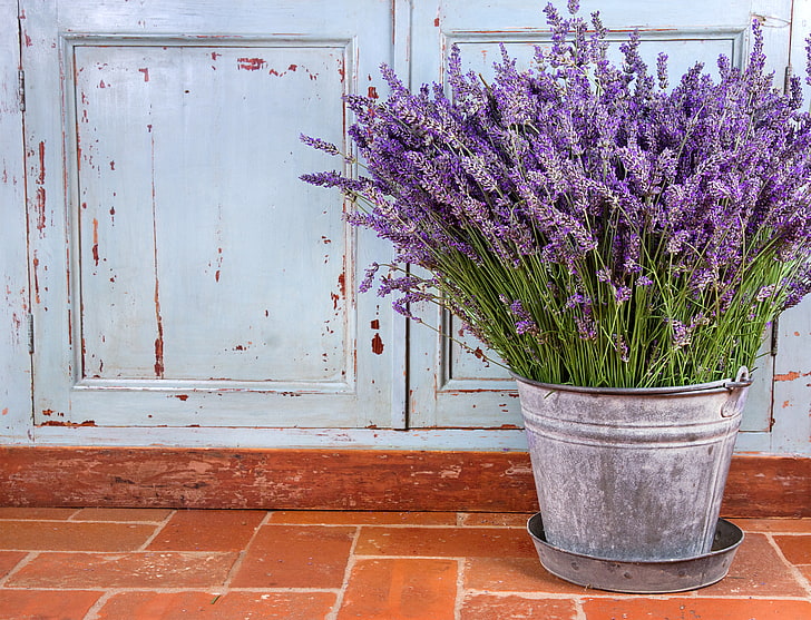 bunch of lavender flowers, flowers, still life, lavender, purple flowers, HD wallpaper