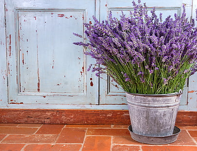 Blumenstrauß Lavendel, Blumen, Stillleben, Lavendel, lila Blüten, HD-Hintergrundbild HD wallpaper