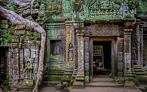 Камбоджа Та Пром храм в Ангкор 2017 Бинг Wallp .., HD обои HD wallpaper