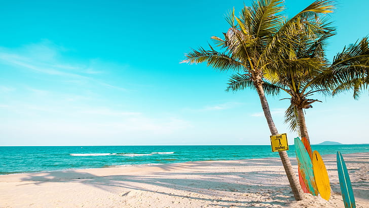 palm, sandy beach, summertime, summer landscape, wind, beach, sea, surfboard, blue sky, shore, tropics, vacation, palm tree, ocean, coast, summer, HD wallpaper