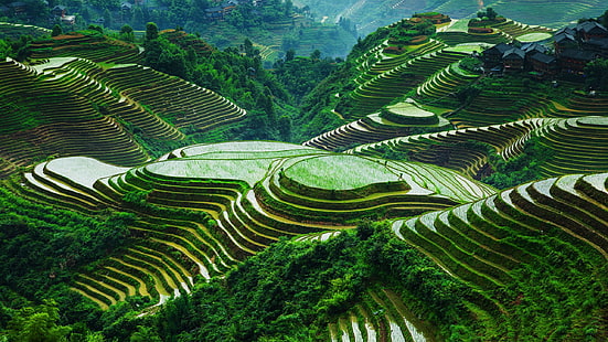 красива, Китай, Гуанси, пейзаж, Longsheng-ориз, тераси, HD тапет HD wallpaper