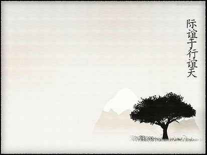 bonsai, HD papel de parede HD wallpaper