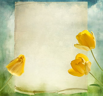 Greeting card, yellow, tulips, flowers, greetings, card, HD wallpaper HD wallpaper