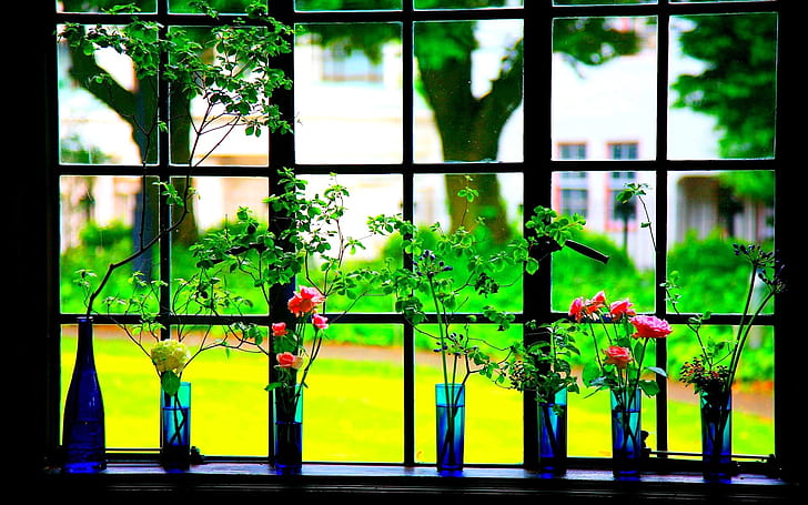 flowers, frame, window, vase, HD wallpaper