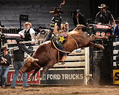14 jpg, bull, bullrider, cow, cowboy, extreme, riding, rodeo, western, HD wallpaper HD wallpaper