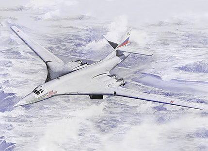 white fighter plane, USSR, Art, BBC, Russia, Supersonic, Strategic, Bomber bomber, The Tu-160, far, Ilya Muromets, HD wallpaper HD wallpaper