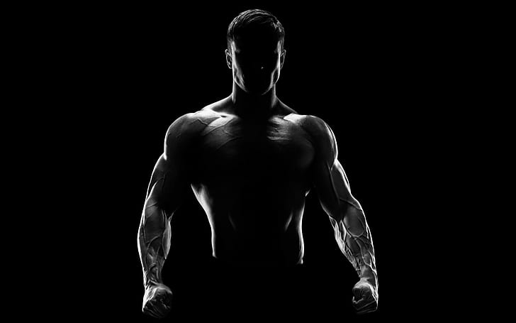 homens, silhueta, músculos, HD papel de parede