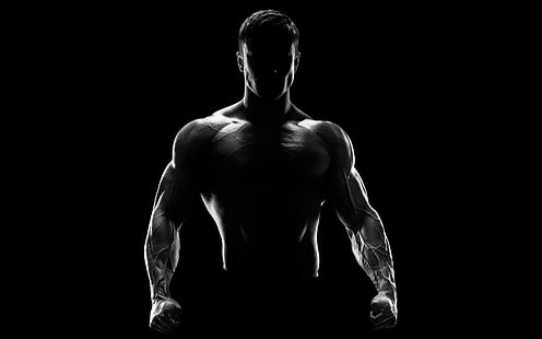 мужчины, силуэт, мышцы, HD обои HD wallpaper