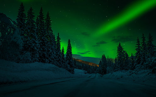 Norway Night Winter Snow Road Trees Trees Stars Stars Sky Polar Lights Night Landscape Photography Desktop Wallpaper Hd For Mobile Phones And Laptops, HD wallpaper HD wallpaper
