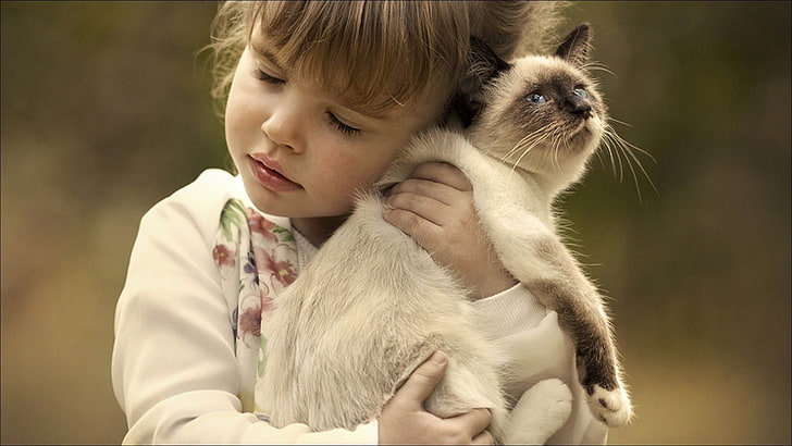 biało-brązowy szczeniak krótkowłosy, dzieci, kot, kocięta, przytulanie, głębia ostrości, portret, fotografia, Tapety HD