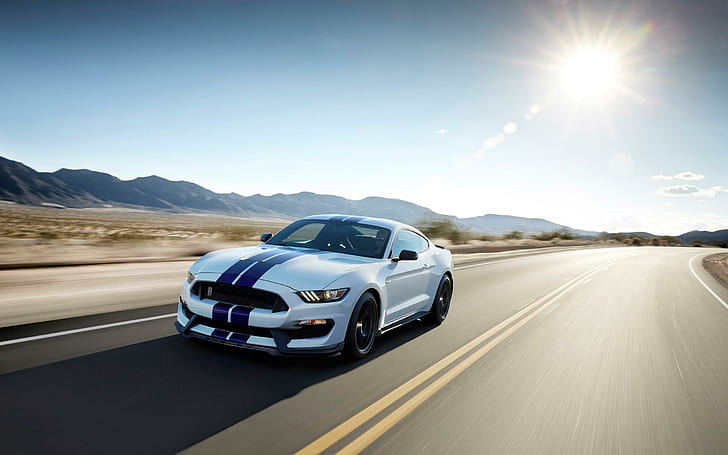 2015 Ford Shelby GT350 Mustang, white sports car, ford, shelby, mustang, 2015, gt350, cars, HD wallpaper