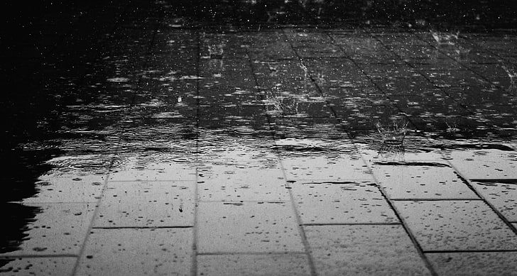 black and white, floor, pavement, rain, raindrops, wet, HD wallpaper