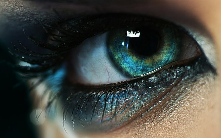menschliches blaues Auge, Nahaufnahmefotografie des Auges der Person, Makro, Augen, HD-Hintergrundbild