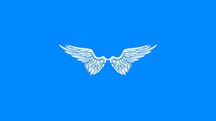 白い翼の壁紙、シンプル、ミニマリズム、翼、天使、青、青の背景、シンプルな背景、 HDデスクトップの壁紙