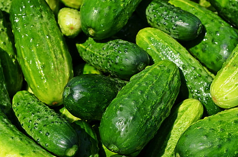 grüne Gurke viel, Gurken, Gemüse, reif, HD-Hintergrundbild HD wallpaper